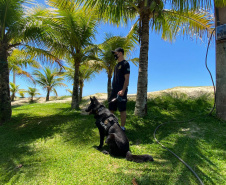 Polícia Civil faz fiscalização com cães policiais na rodoviária de Matinhos