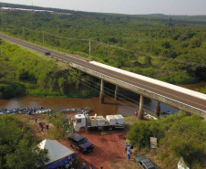  Rio Xambrê é repovoado com 50 mil peixes juvenis nativos