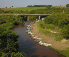  Rio Xambrê é repovoado com 50 mil peixes juvenis nativos