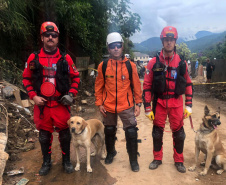 Defesa Civil em Petrópolis