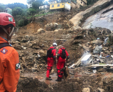 Defesa Civil em Petrópolis