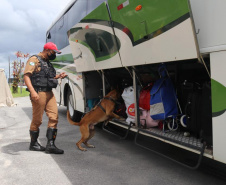 No Paraná, forças policiais tiram de circulação mais de 272 toneladas de drogas