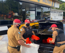  No Paraná, forças policiais tiram de circulação mais de 272 toneladas de drogas