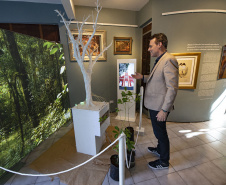  Andersen recebe cyber ilex, exposição que atualiza o valor do mate na cultura paranaense