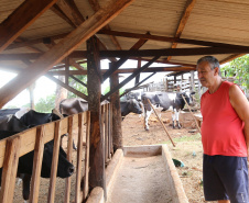 Com juros subsidiados pelo Estado, Banco do Agricultor muda a realidade dos paranaenses