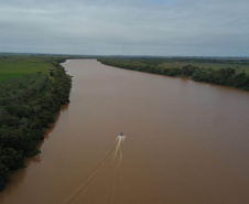 Projeto Rio Vivo atinge a marca de 1,76 milhão de peixes nativos soltos nas Bacias Hidrográficas do Paraná