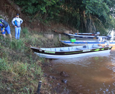 PIQUIRI  -  Projeto Rio Vivo atinge a marca de 1,76 milhão de peixes nativos soltos nas Bacias Hidrográficas do Paraná - 