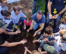 PIQUIRI  -  Projeto Rio Vivo atinge a marca de 1,76 milhão de peixes nativos soltos nas Bacias Hidrográficas do Paraná - 