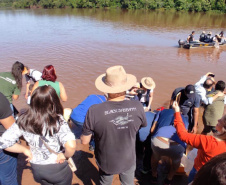 PIQUIRI  -  Projeto Rio Vivo atinge a marca de 1,76 milhão de peixes nativos soltos nas Bacias Hidrográficas do Paraná - 