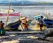  Captura de caranguejo-uçá volta a ser proibida no Paraná