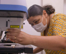 Mulheres são maioria entre professores da UEPG que receberam Bolsa Produtividade em 2022 