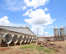 Com juros subsidiados pelo Estado, Banco do Agricultor muda a realidade dos paranaenses