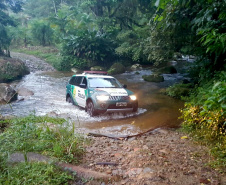 Proteção da fauna paranaense é intensificada com fiscalizações e autuações do Batalhão de Polícia Ambiental no Paraná