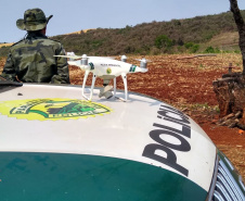 Proteção da fauna paranaense é intensificada com fiscalizações e autuações do Batalhão de Polícia Ambiental no Paraná