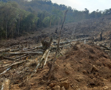 Proteção da fauna paranaense é intensificada com fiscalizações e autuações do Batalhão de Polícia Ambiental no Paraná