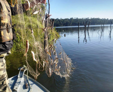  Polícia ambiental reforça combate à pesca predatória em rios e bacias hidrográficas durante período da Piracema