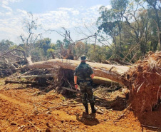 Proteção da fauna paranaense é intensificada com fiscalizações e autuações do Batalhão de Polícia Ambiental no Paraná