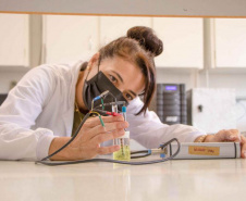 Mulheres são maioria entre professores da UEPG que receberam Bolsa Produtividade em 2022 