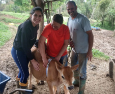 Dieta balanceada aumenta produção e diminui despesas com alimentação do gado leiteiro