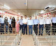 Copacol inaugura unidade de produção de suínos de R$ 120 milhões em Jesuítas