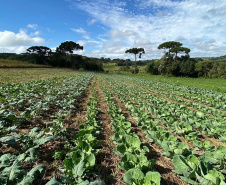 Dia Mundial da Água é comemorado com demonstrações de agricultura sustentável