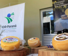 Rota do Queijo Paranaense lança mapa das queijarias e recebe agentes de viagens