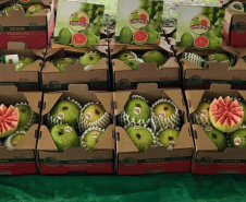 Frutas paranaenses ganham mercado internacional 
