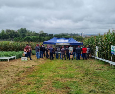 IDR-Paraná apresenta alternativas para uma agricultura mais sustentável e lucrativa nas culturas de feijão e milho