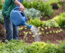 Paraná lidera adesões ao Sistema Nacional de Segurança Alimentar e Nutricional