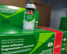 Primeiro lote de vacinas contra a gripe chega ao Paraná