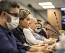 Audiência debate área de granéis sólidos vegetais no Porto de Paranaguá