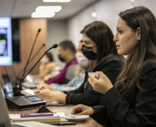 Audiência debate área de granéis sólidos vegetais no Porto de Paranaguá