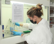 Laboratório da Adapar é credenciado para diagnóstico de Influenza Aviária e Doença de Newcastle por PCR em tempo real