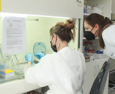 Laboratório da Adapar é credenciado para diagnóstico de Influenza Aviária e Doença de Newcastle por PCR em tempo real