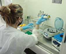 Laboratório da Adapar é credenciado para diagnóstico de Influenza Aviária e Doença de Newcastle por PCR em tempo real