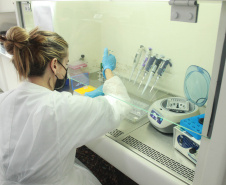 Laboratório da Adapar é credenciado para diagnóstico de Influenza Aviária e Doença de Newcastle por PCR em tempo real