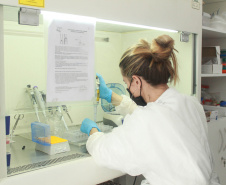 Laboratório da Adapar é credenciado para diagnóstico de Influenza Aviária e Doença de Newcastle por PCR em tempo real