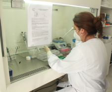 Laboratório da Adapar é credenciado para diagnóstico de Influenza Aviária e Doença de Newcastle por PCR em tempo real