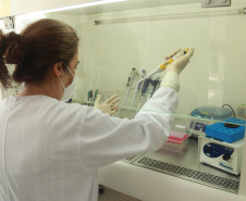 Laboratório da Adapar é credenciado para diagnóstico de Influenza Aviária e Doença de Newcastle por PCR em tempo real