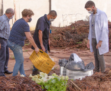 Parceria entre Hospital Universitário e Colégio Agrícola inicia produção de ervas terapêuticas