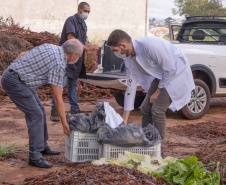 Parceria entre Hospital Universitário e Colégio Agrícola inicia produção de ervas terapêuticas