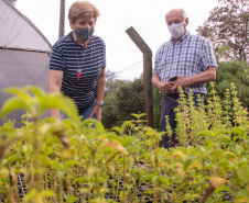 Parceria entre Hospital Universitário e Colégio Agrícola inicia produção de ervas terapêuticas