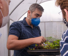 Parceria entre Hospital Universitário e Colégio Agrícola inicia produção de ervas terapêuticas