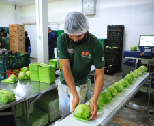 Paraná tem 10,5% da alimentação escolar proveniente de orgânicos