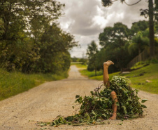 Museu Paranaense tem colheita da horta, cozinha itinerante, performance e nova mostra