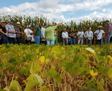  23º Semana de Campo Ponta Grossa