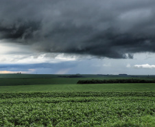 Com influência de La Niña, outono no Paraná terá chuvas na média, ventos e dias frios