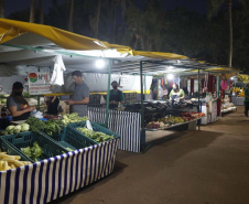 Entre as 82 ações nesse período está a revitalização da Praça Wilson Joffre, em Cascavel, na região Oeste.