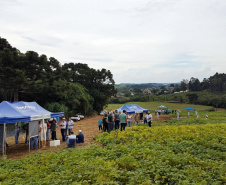  23º Semana de Campo Ponta Grossa