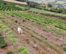 Com juros subsidiados pelo Estado, Banco do Agricultor muda a realidade dos paranaenses